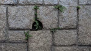 C&rsquo;est quoi le growth marketing ? La définition sans blabla